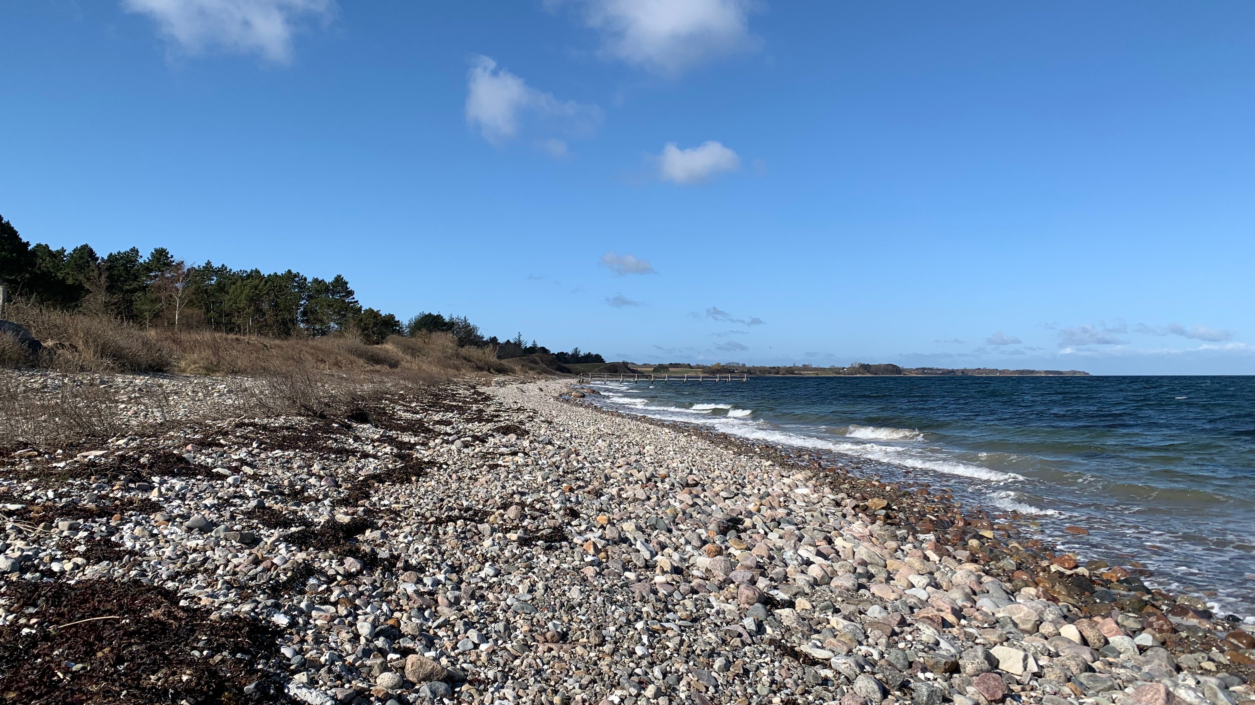 Sanketur ved Stranden - Dette kan du sanke i April.