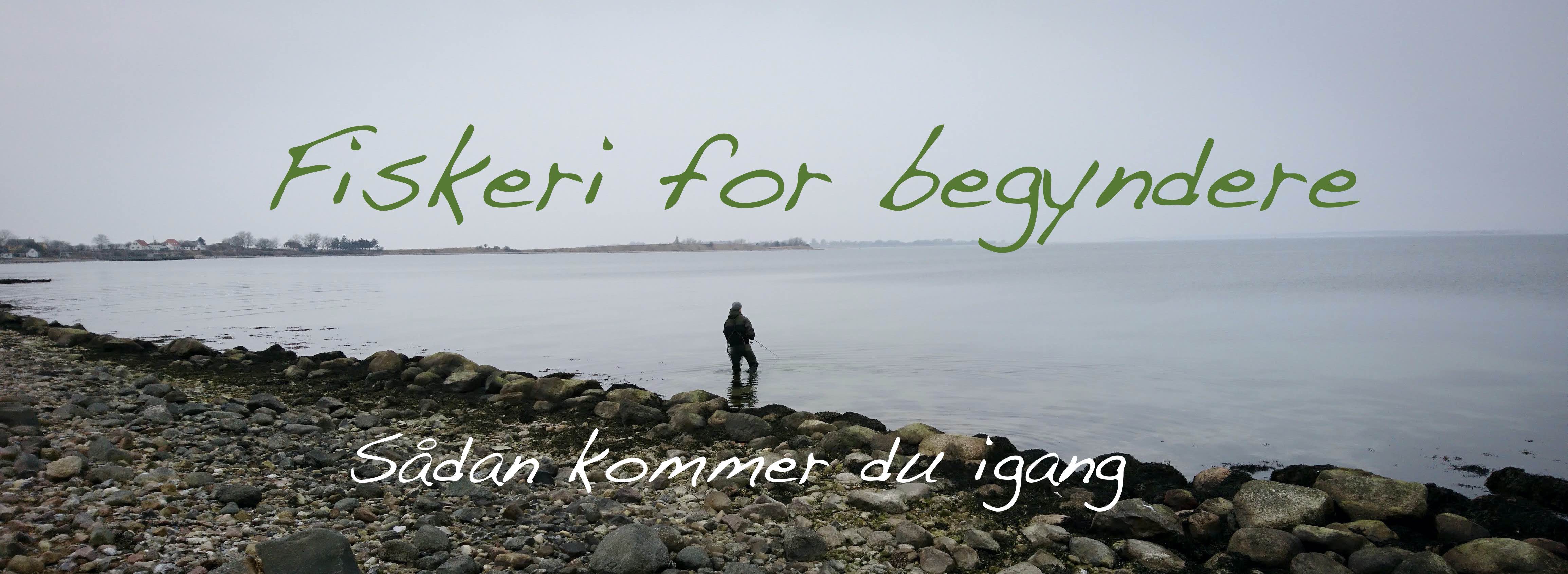 Fiskeri for begyndere – sådan kommer du i gang