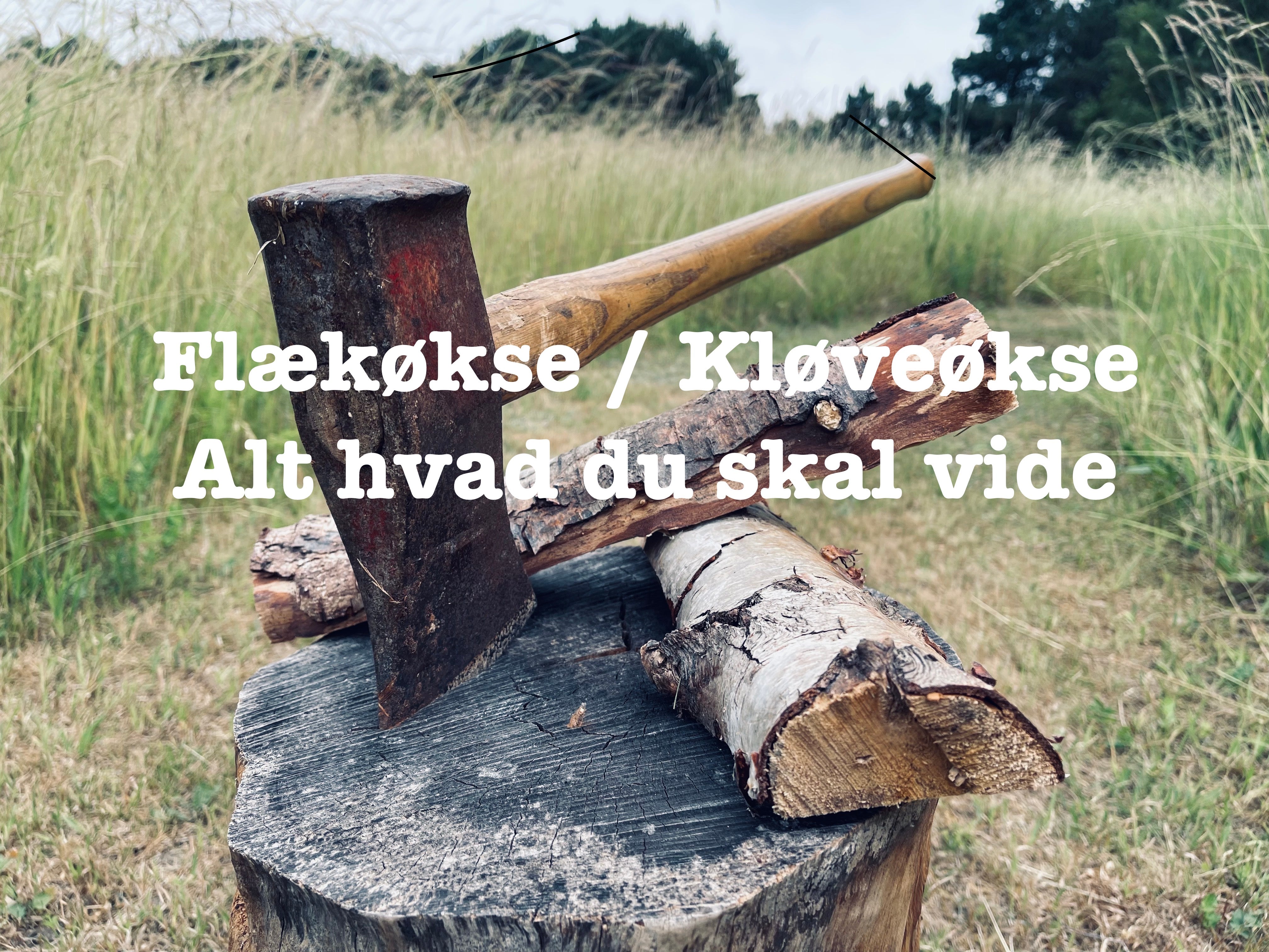 Flækøkse og Kløveøkse - Alt hvad du skal vide!