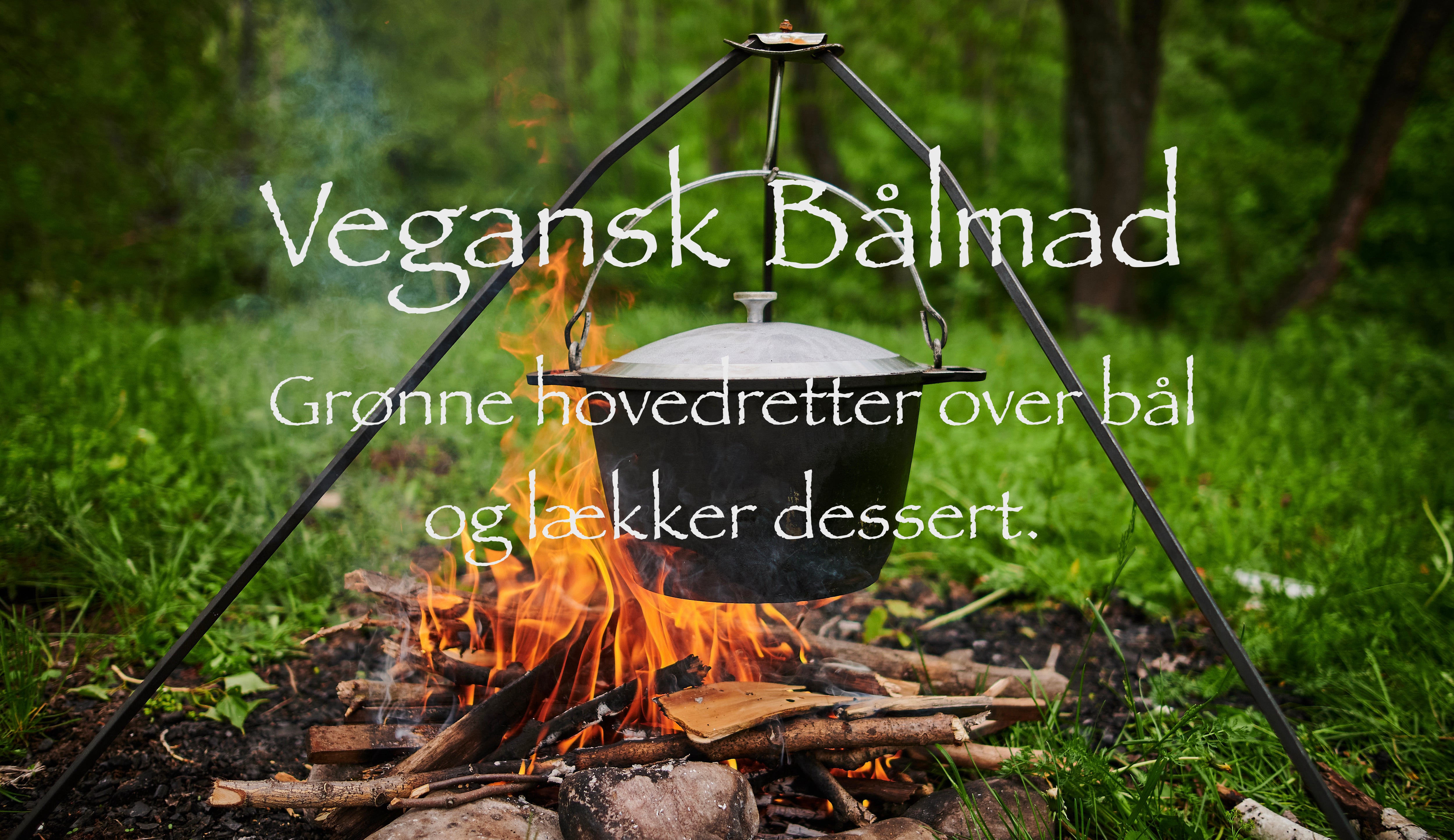 Grøn bålmad Vegansk bålmad