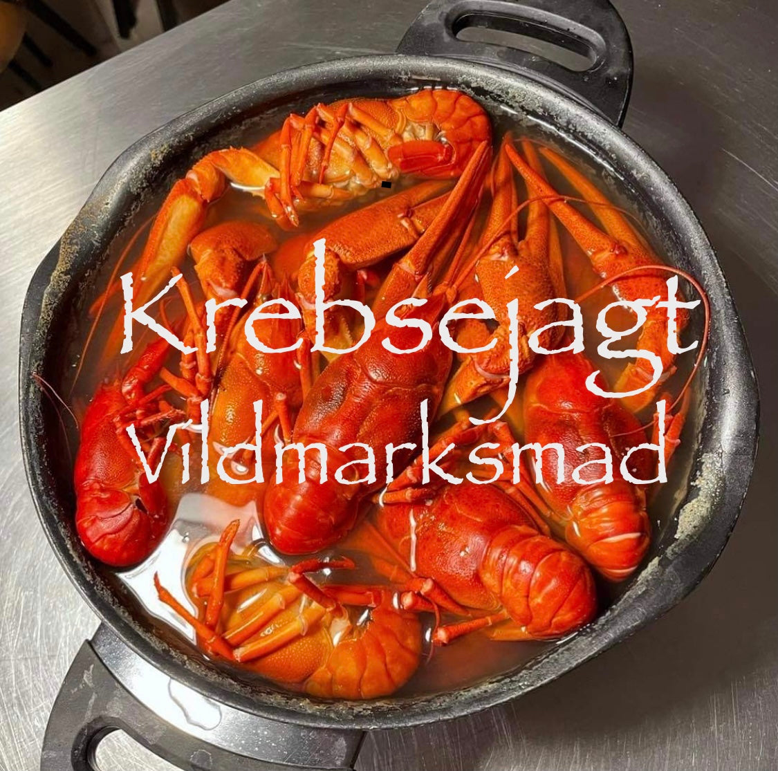 Krebsejagt Vildmarksmad Danmark