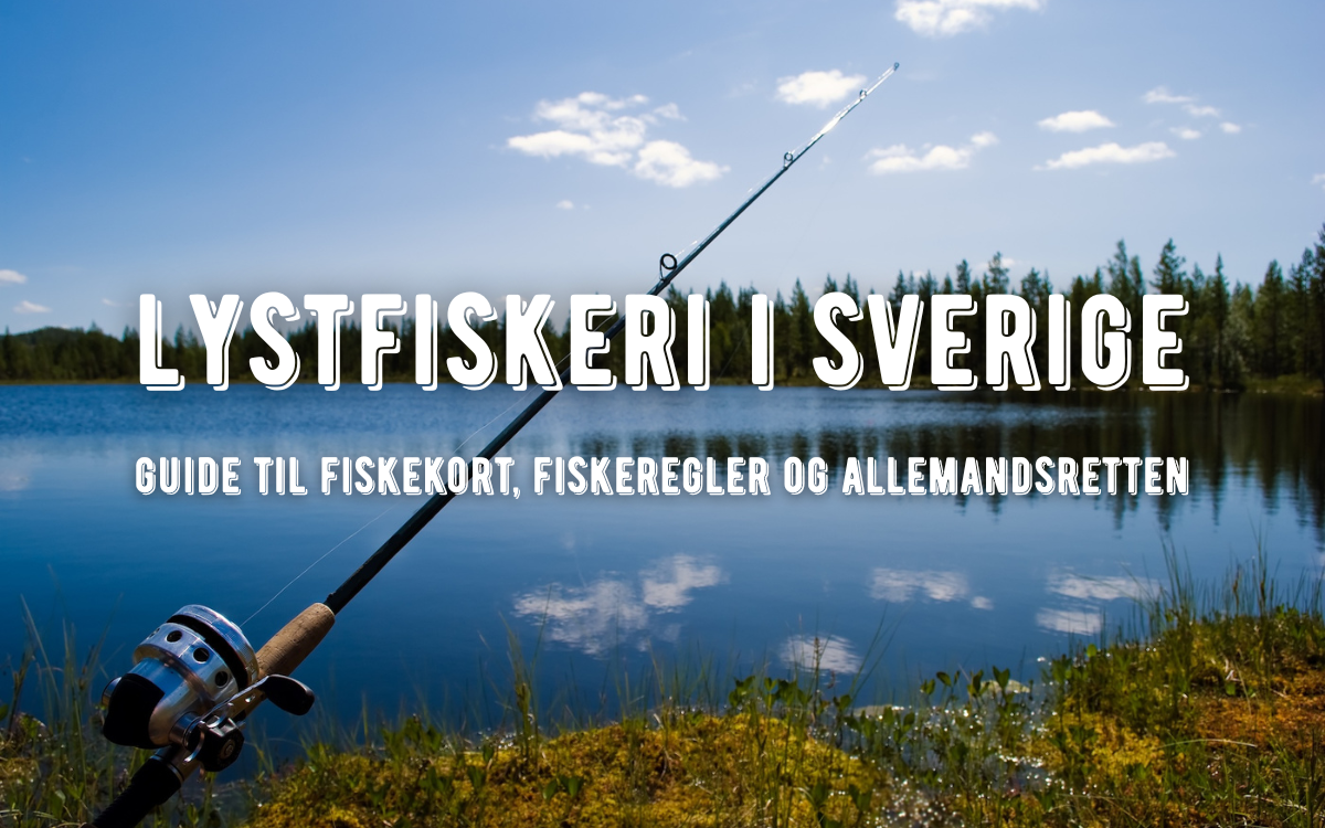 lystfiskeri i sverige