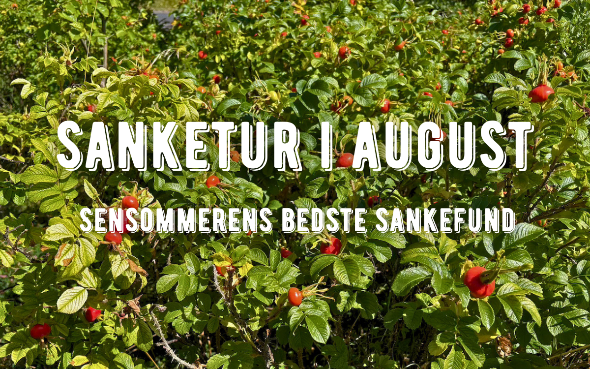 sankeguide - sanketur i august