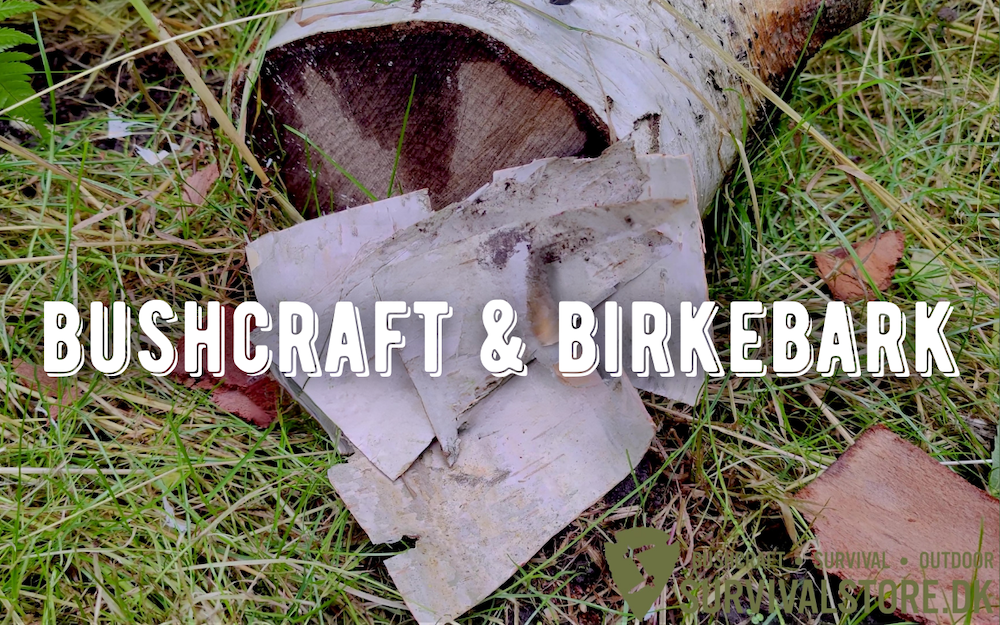 bushcraft og birkebark blog om at anvende birkebark til optænding og bushcraft