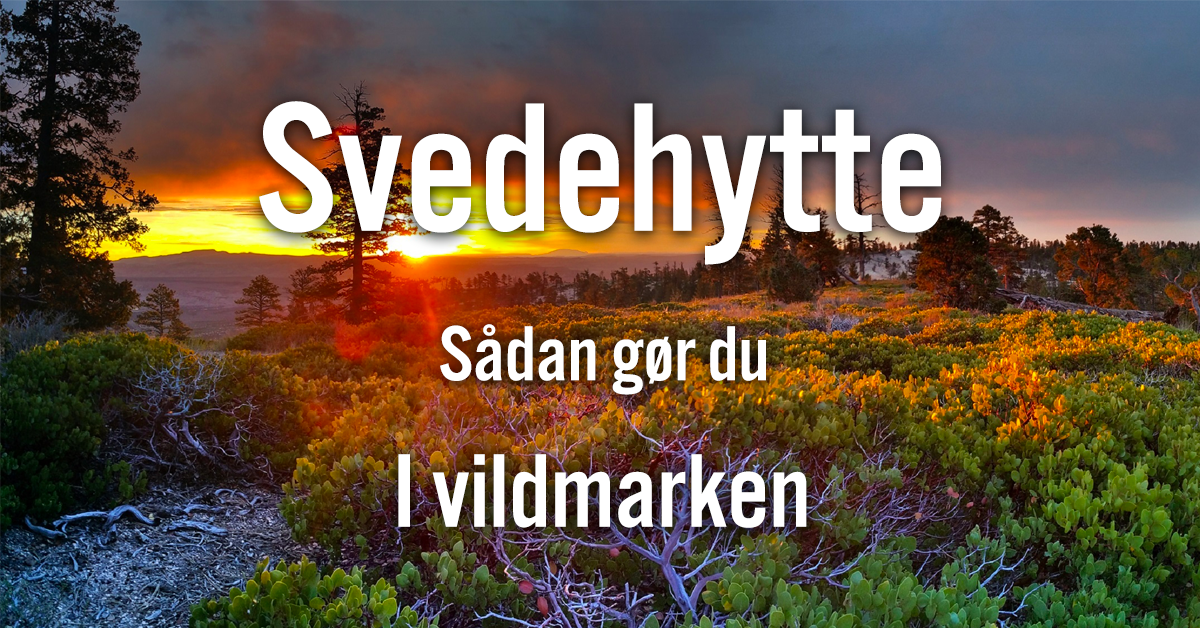 Svedehytte i vildmarken » Fedt bushcraft projekt og sådan gør du!