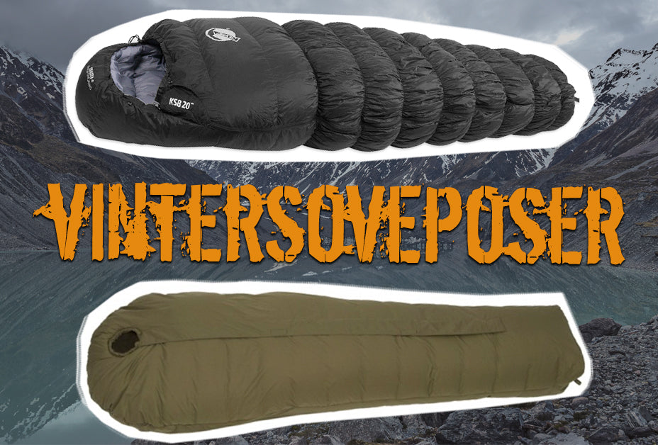 Vinter sovepose