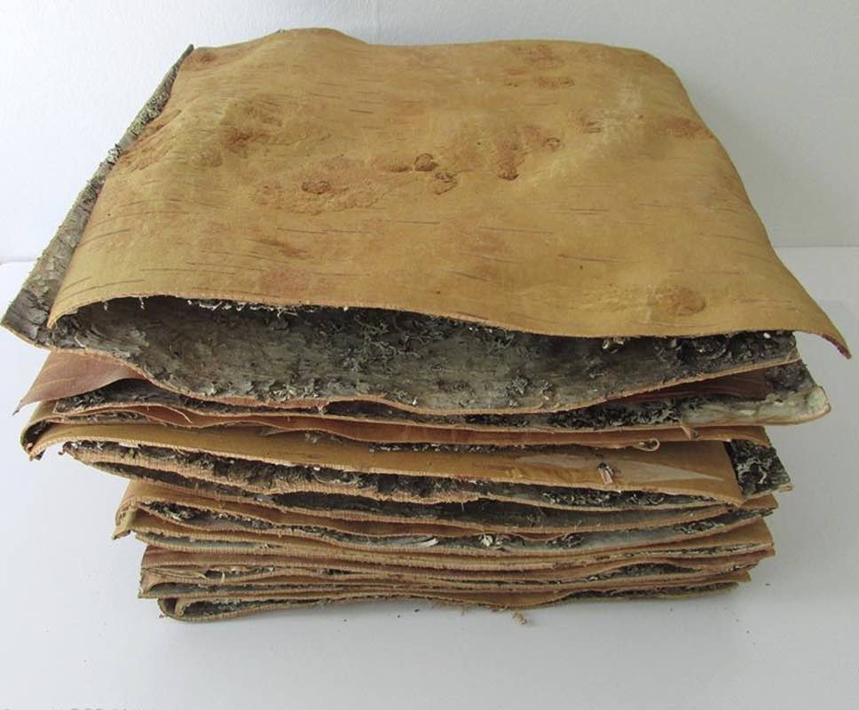 Birkebark 15 x 20 cm Bushcraft