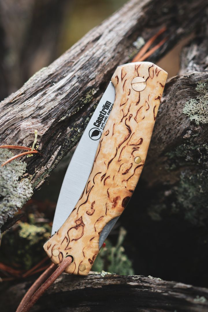 Casström Lars Fält foldekniv Back Lock Curly Birch