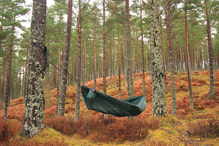 DD Hammocks Camping Hammock Hængekøje Olive Grøn