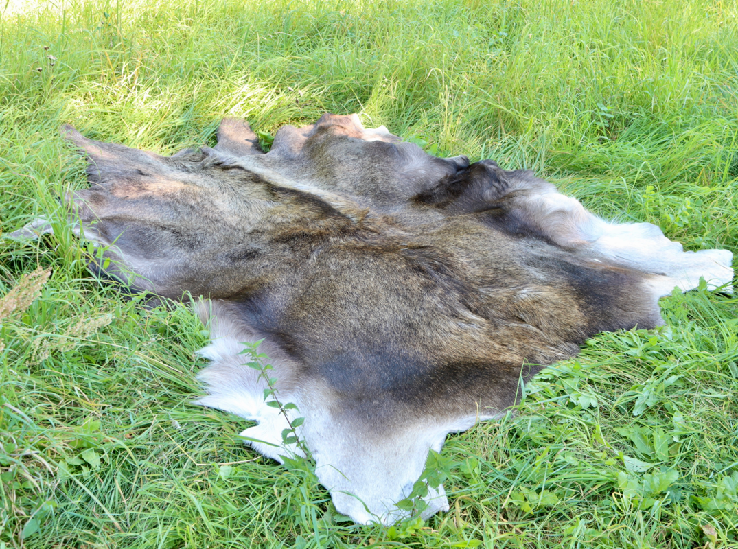 Hjorteskind - Hel - Gegerbt in Norden