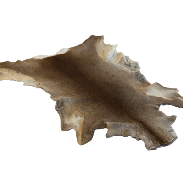 Rådyrskind - hel - garvet