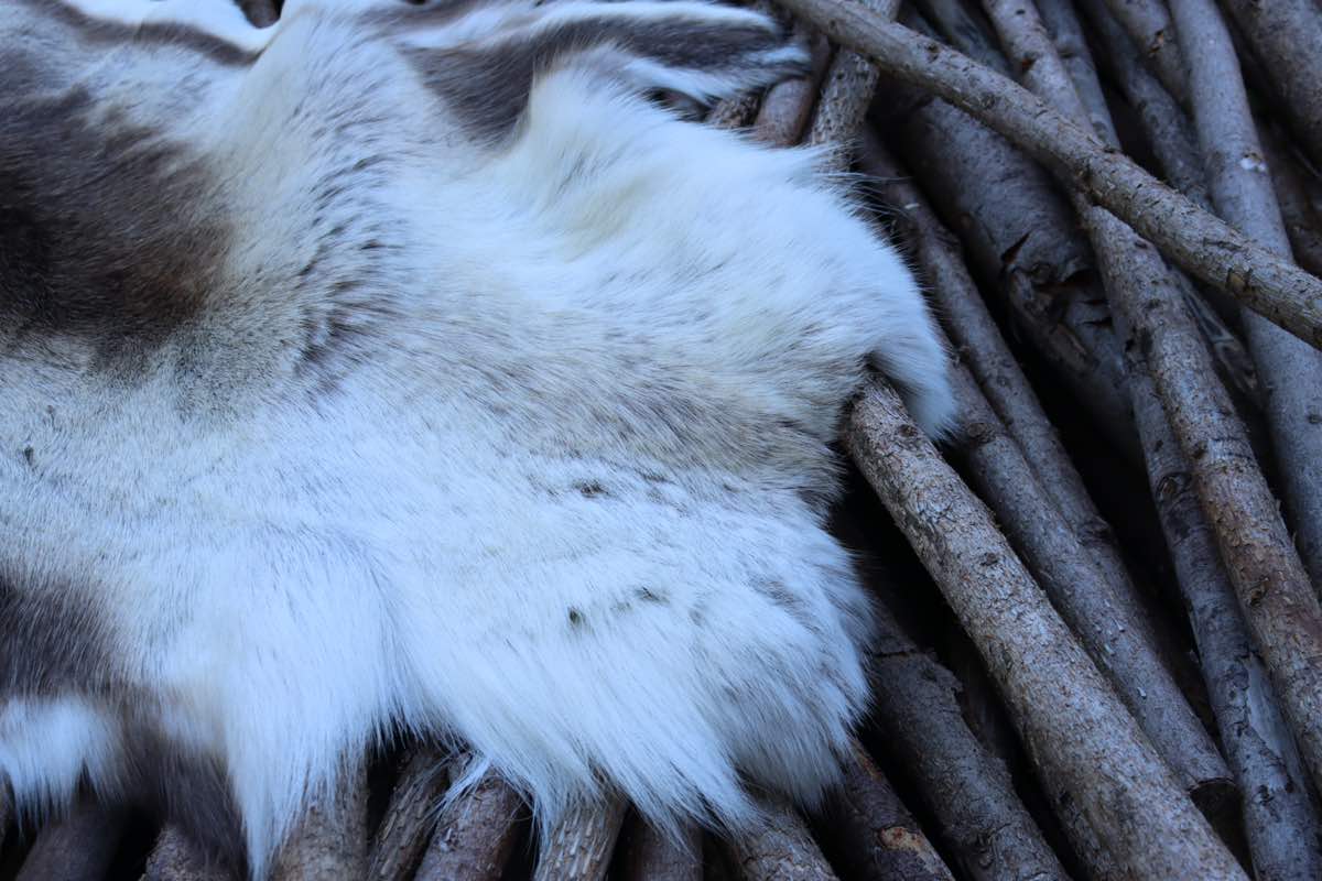 Rensdyrskind rensdyr skind liggeunderlag outdoor