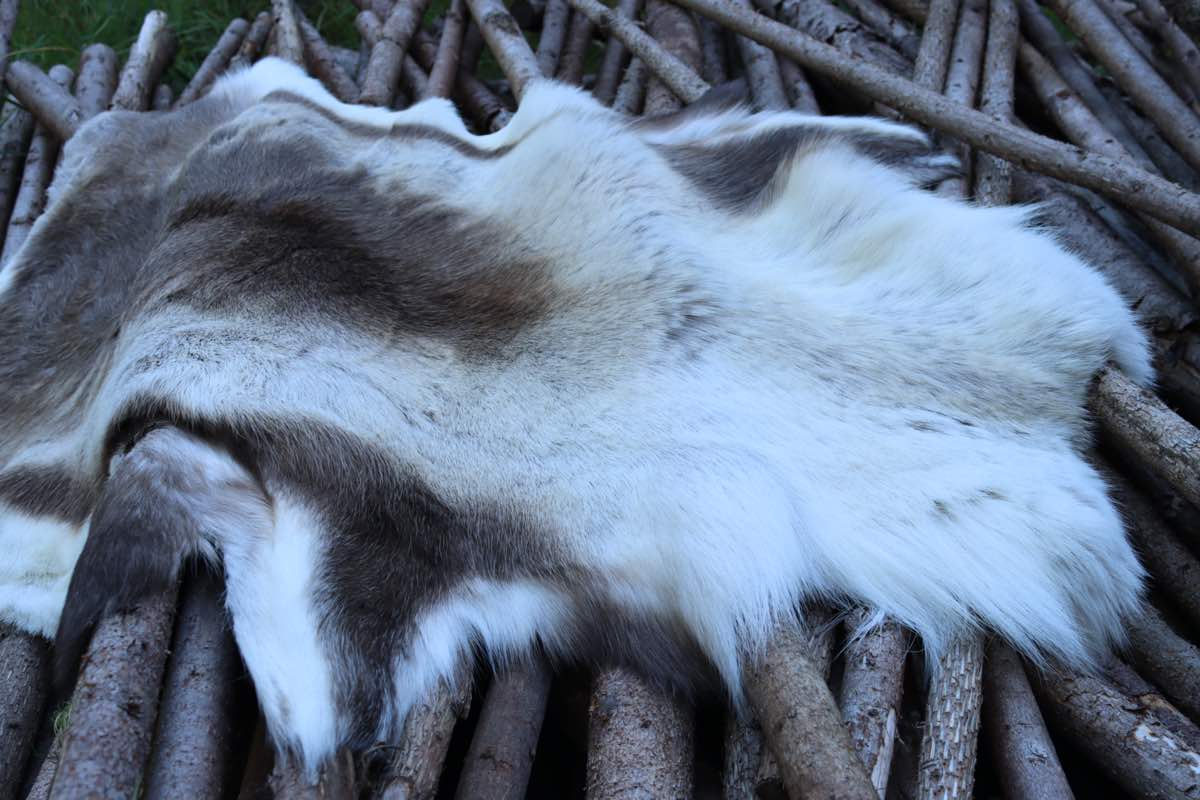 Rensdyrskind rensdyr skind liggeunderlag outdoor