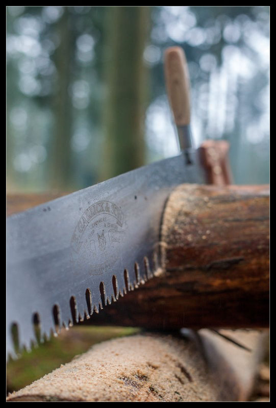 Thomas Flinn enmands crosscut sav