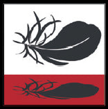 Carinthia Survival Down 1000 dunsovepose