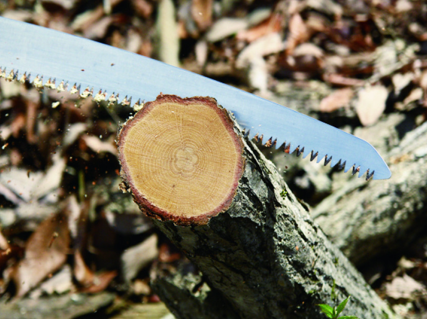 Bigboy 2000-360 6,5 Curve - Silky foldesav saver