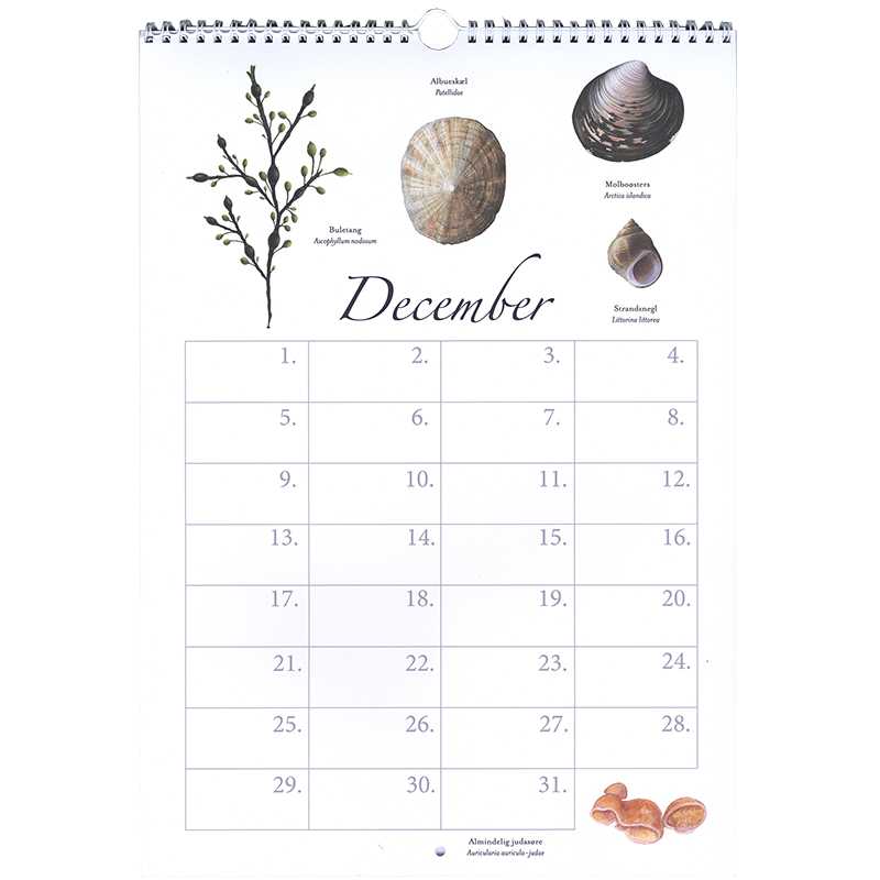 Evighedskalender - December