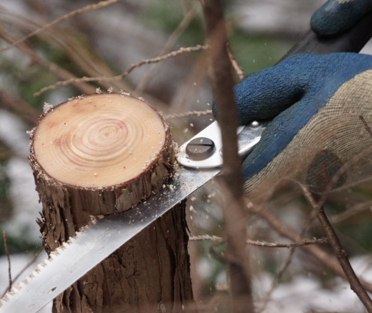 Gomboy 240-10 - Silky foldesav saver