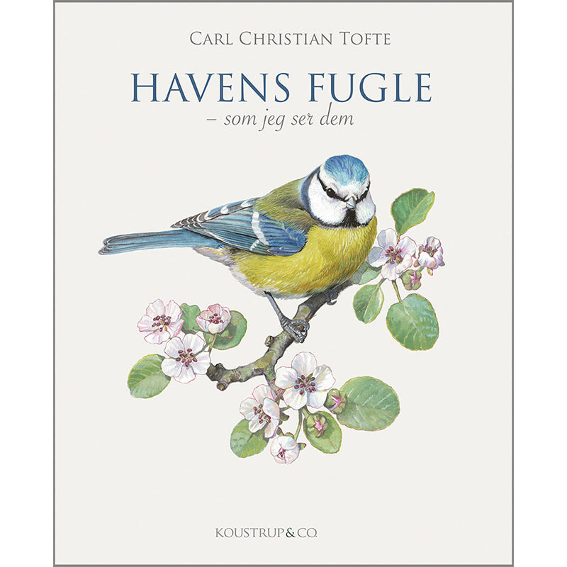 Vögel des Gartens - Buch