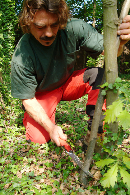 Pocketboy 170-8 - Silky foldesav saver