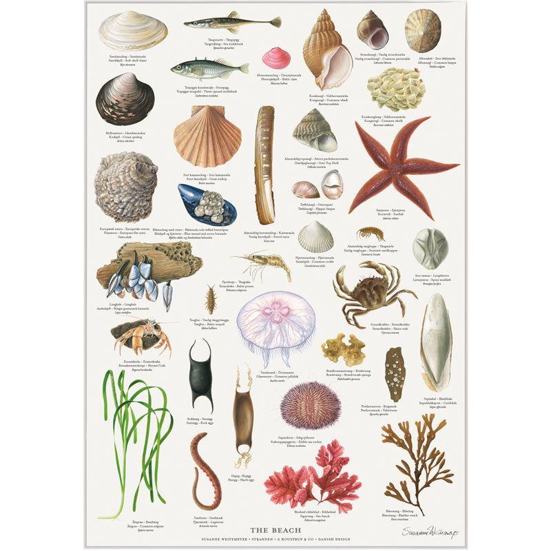 Stranden - Plakat A2