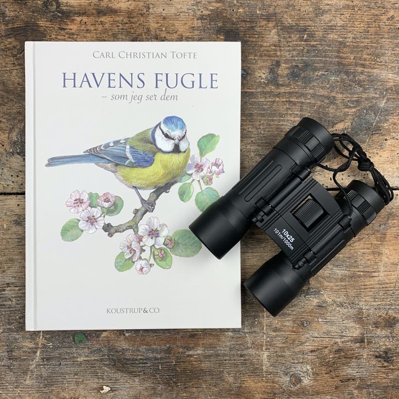 Set mit Vogelbuch und Fernglas