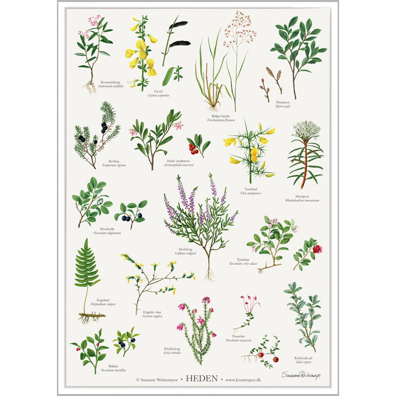 Survivalstore.dk-Heden-A4