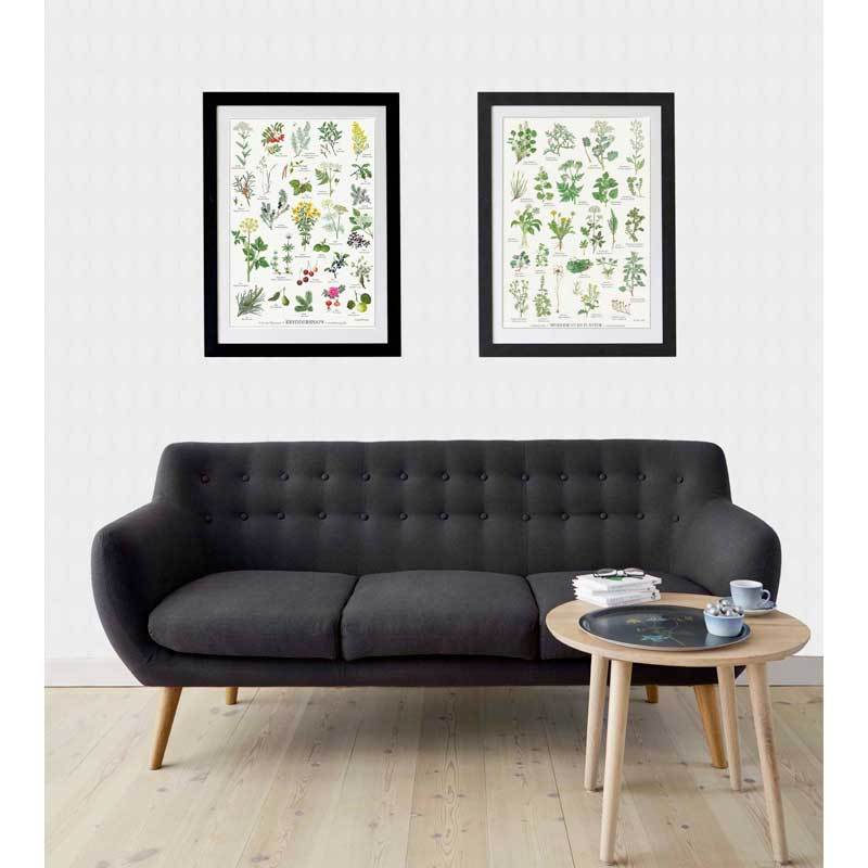 Spiselige vilde planter - Plakat på væg