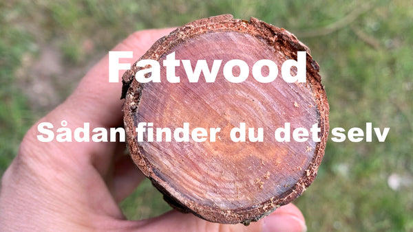 Fatwood - Sådan finder du selv fatwood her i Danmark