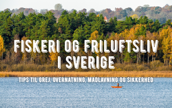 lystfiskeri og friluftsliv i sverige - guide