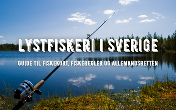 lystfiskeri i sverige