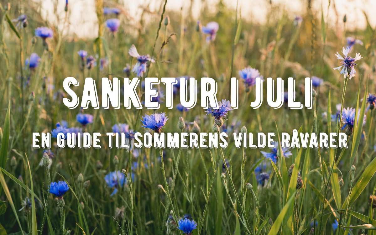 sankeguide juli