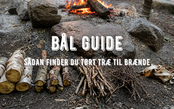 sådan finder du tørt træ til bål