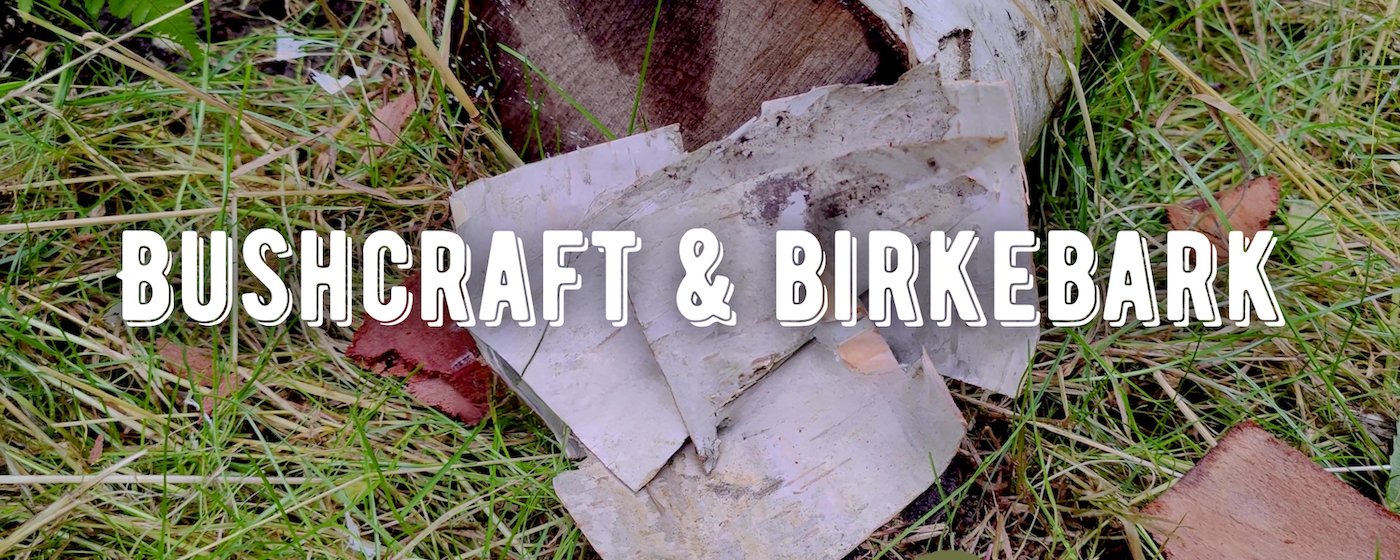 bushcraft og birkebark blog om at anvende birkebark til optænding og bushcraft 