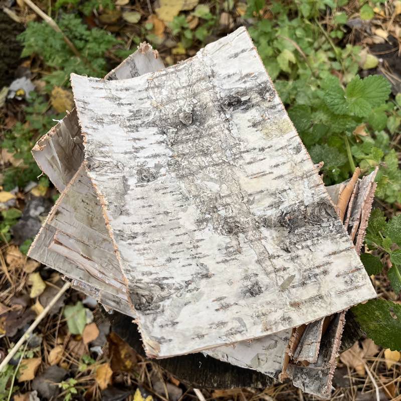 Birkebark 15 x 20 cm Bushcraft