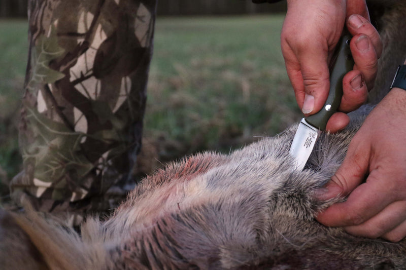 Casström Safari mini hunter kniv i Micarta med Kydex skede<br>