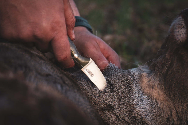 Casström Safari mini hunter kniv i Micarta med Kydex skede<br>