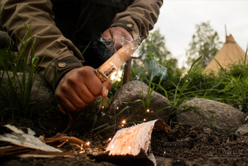 Bushcraft Kniv - Lars Fält fra Casström Curly Birch med læderskede ildstål