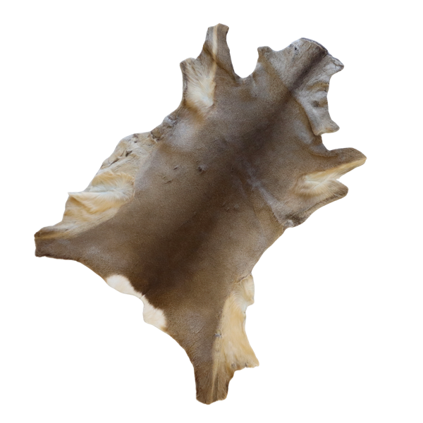 Rådyrskind - hel - garvet