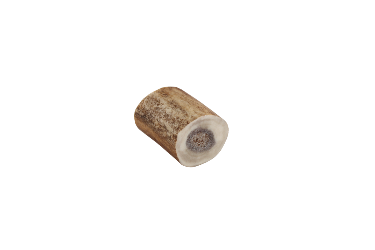 Rensdyr Gevir Rensdyrtak Bushcraft