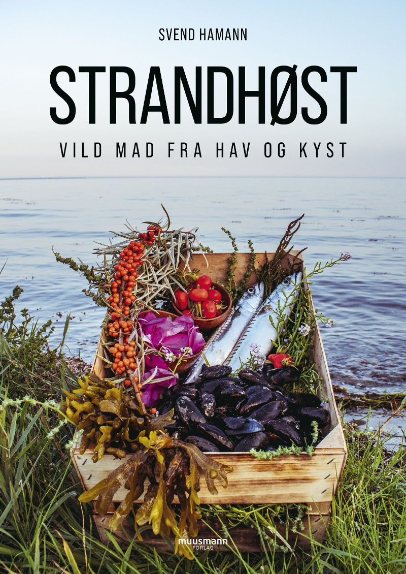 Strandhøst bog af svend hamann Sankebog