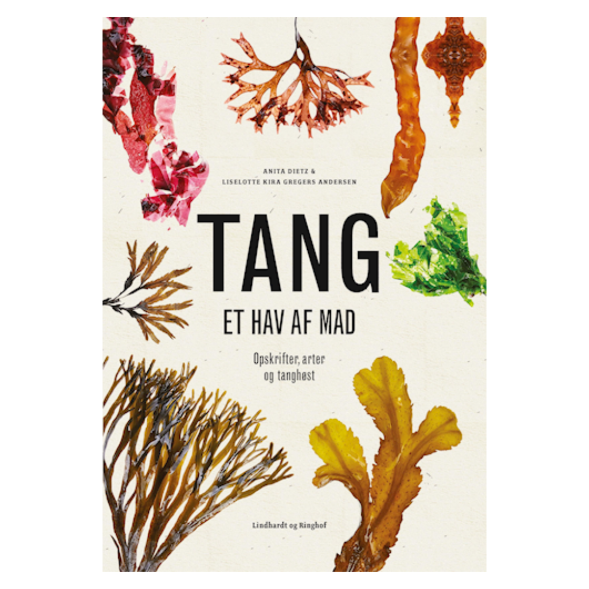 Tang et hav af mad høste tang sanke tang i danmark mad med tang