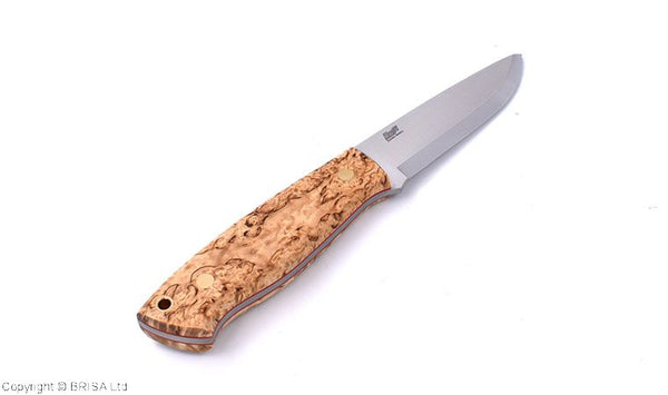 Trapper 95 curly birch Brisa