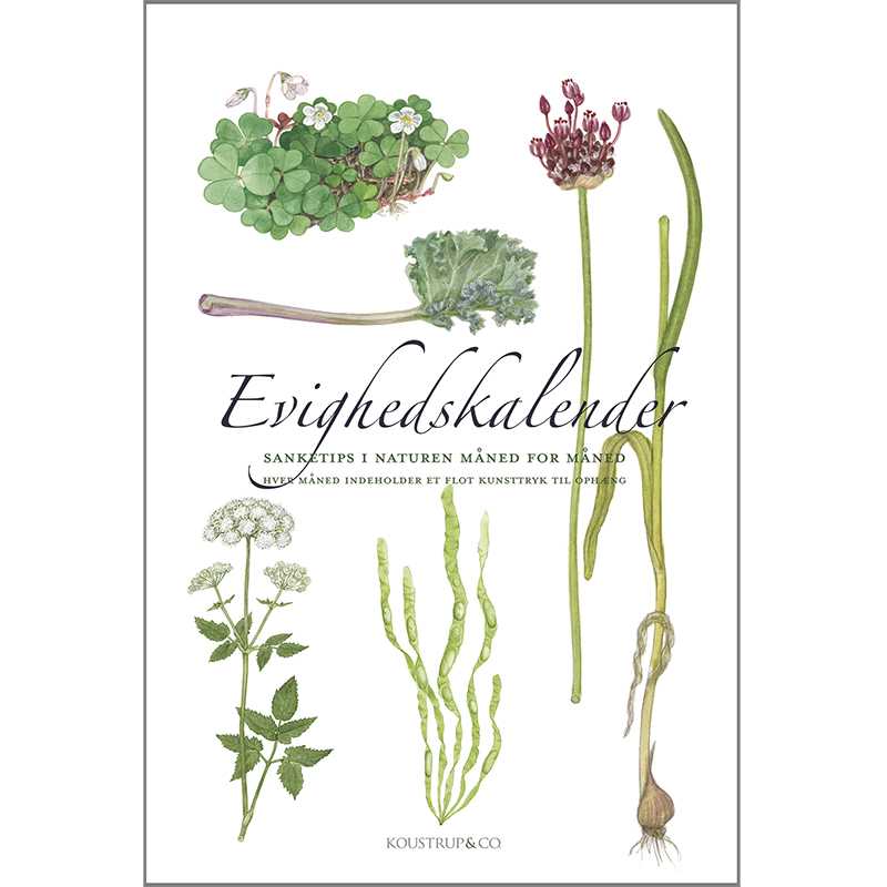 Evighedskalender