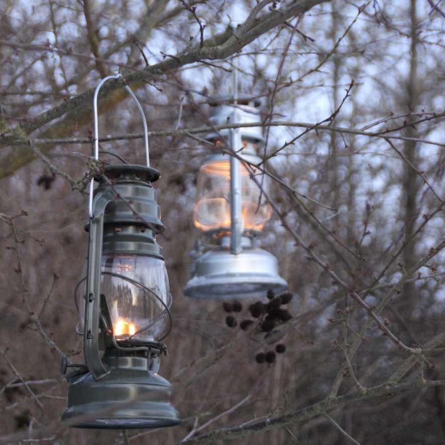 Lanterne - Fledermauslampe - Grün/Olive