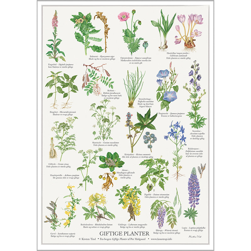 Giftige Planter - Plakat A2
