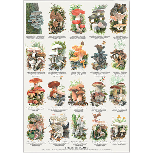 Spiselige Svampe - Plakat A2